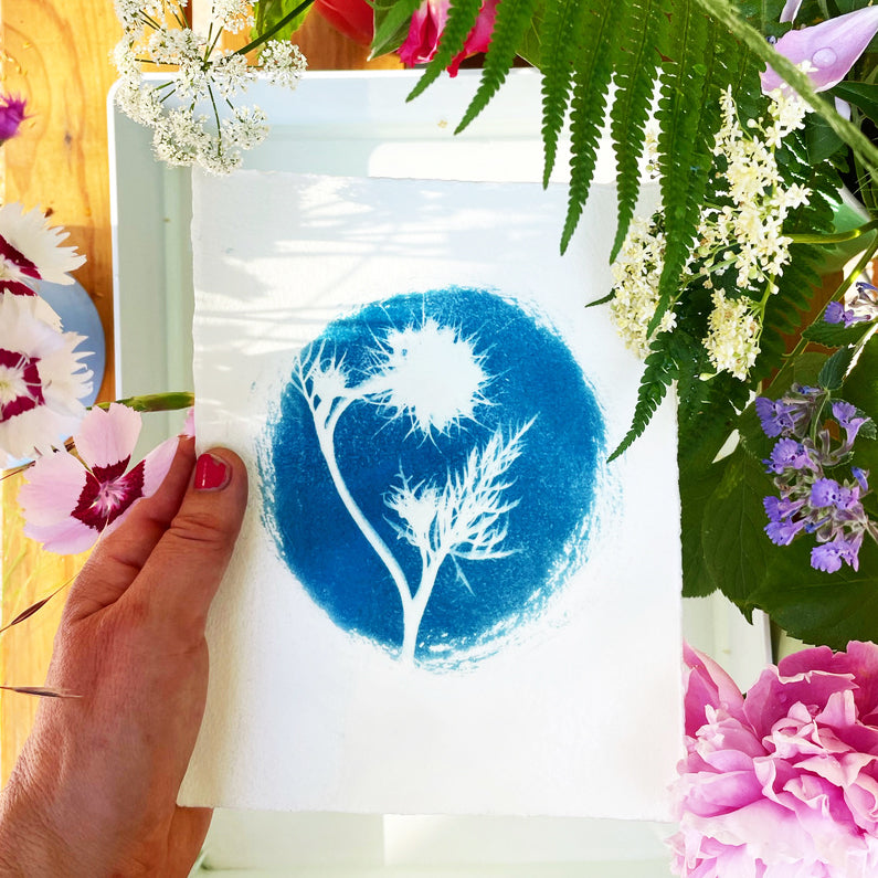 Workshop: Cyanotypi - Sådan kommer du igang