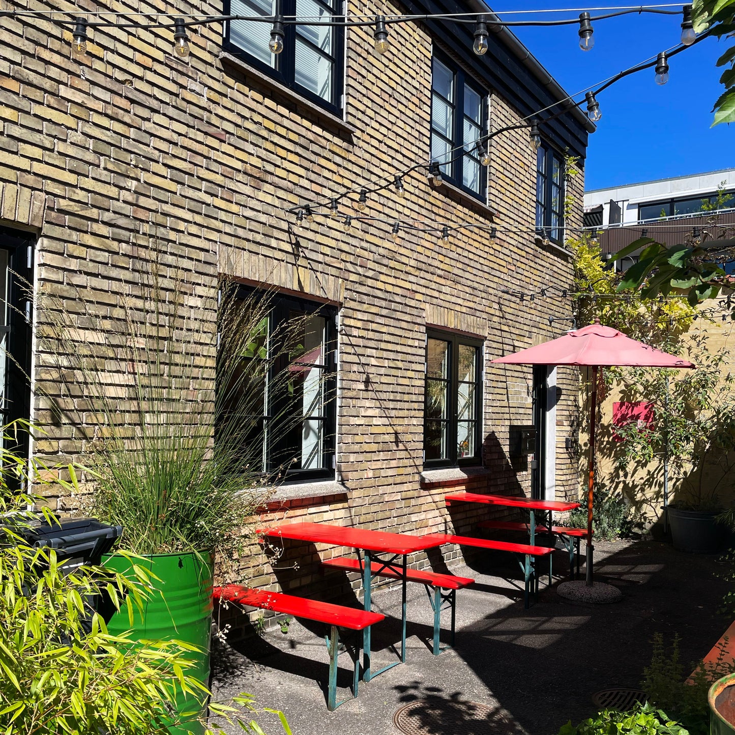 Workshop: Cyanotypi - Sådan kommer du igang