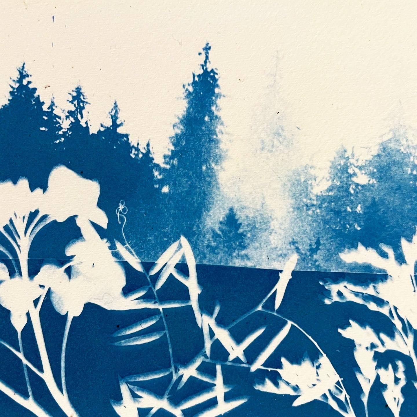 Cyanotypi Kit - Sådan laver du cyanotypi