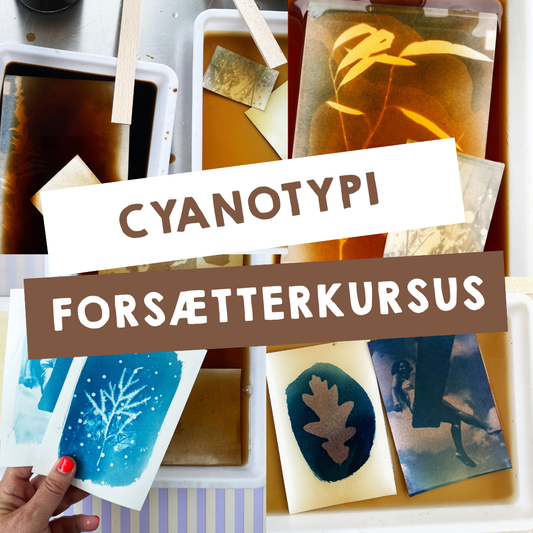 EARLY BIRD / CYANOTYPI - FORTSÆTTERKURSUS MED FOCUS PÅ TONING / 25. januar 2026 (7 timer) EARLY BIRD