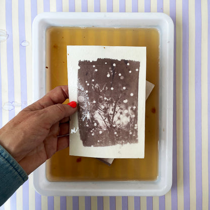 EARLY BIRD / CYANOTYPI - FORTSÆTTERKURSUS MED FOCUS PÅ TONING / 25. januar 2026 (7 timer) EARLY BIRD