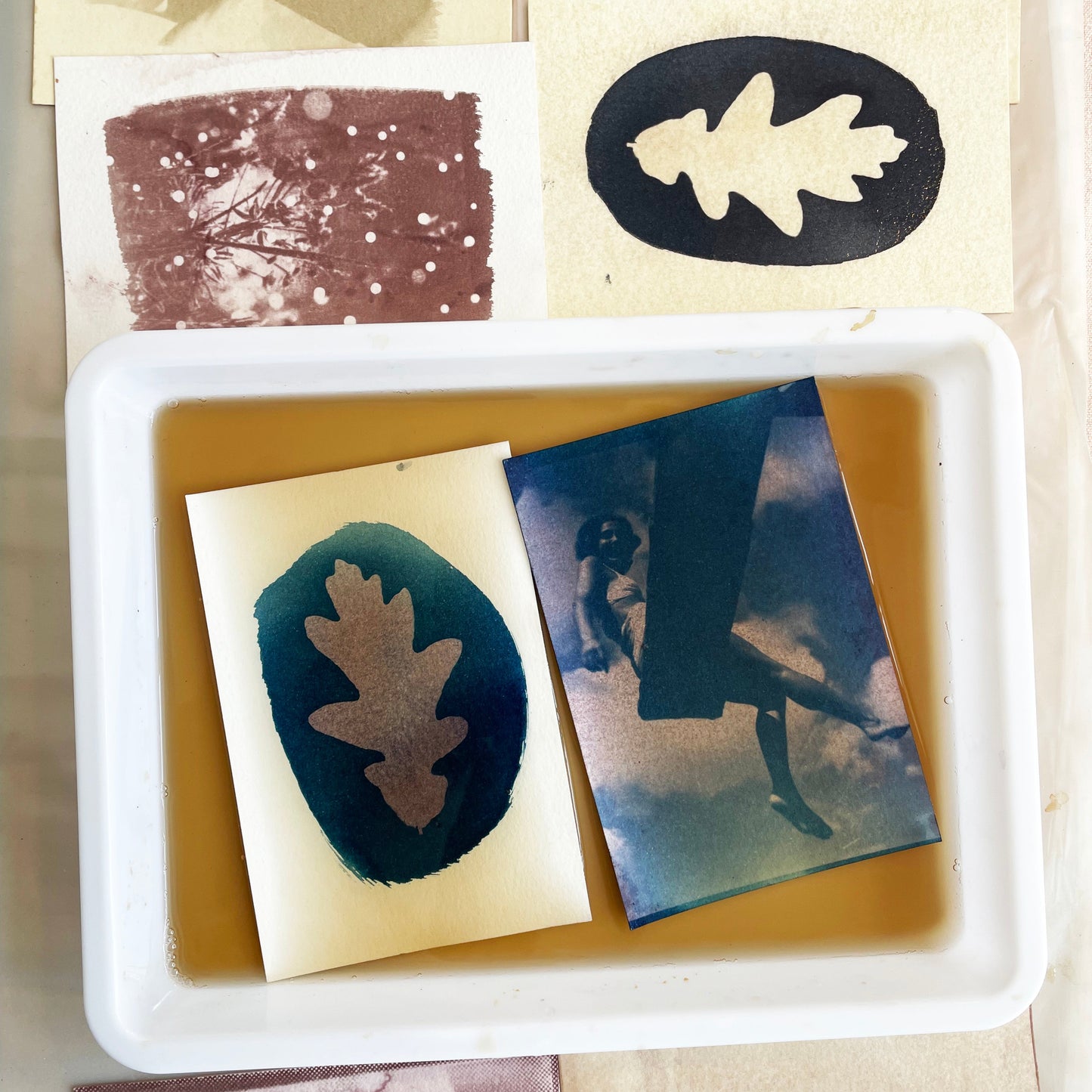 EARLY BIRD / CYANOTYPI - FORTSÆTTERKURSUS MED FOCUS PÅ TONING / 25. januar 2026 (7 timer) EARLY BIRD