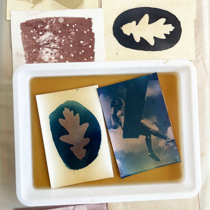 EARLY BIRD / CYANOTYPI - FORTSÆTTERKURSUS MED FOCUS PÅ TONING / 25. januar 2026 (7 timer) EARLY BIRD