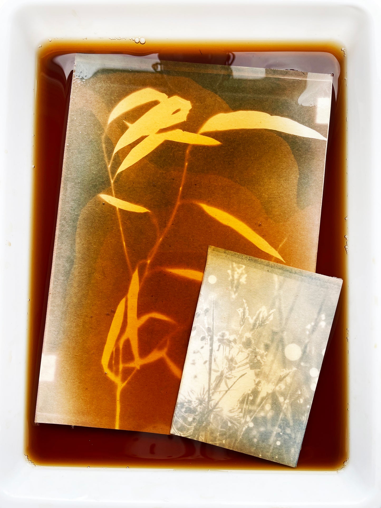 EARLY BIRD / CYANOTYPI - FORTSÆTTERKURSUS MED FOCUS PÅ TONING / 25. januar 2026 (7 timer) EARLY BIRD