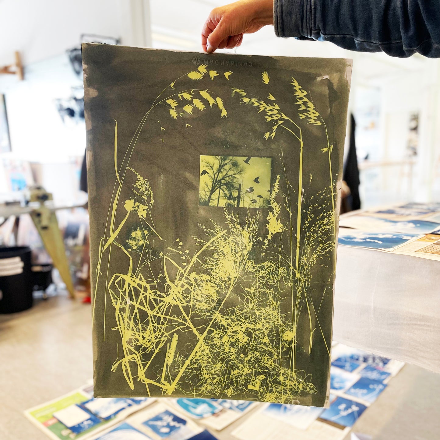 NYHED!!Masterclass: Cyanotypi /Søndag den 15. juni 2025 kl. 10.00 - 16.00