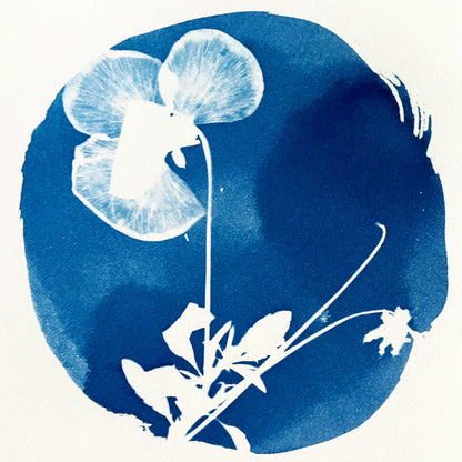 CYANOTYPI - INTRODUKTION / 10. januar 2026 kl. 13.30-15.30 (2 timer)