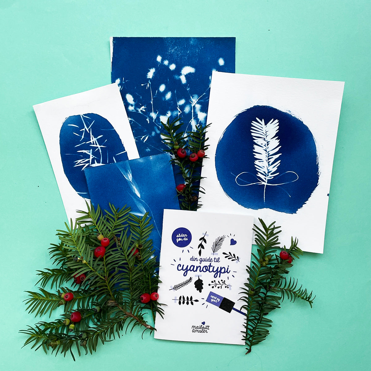 CYANOTYPE KIT...