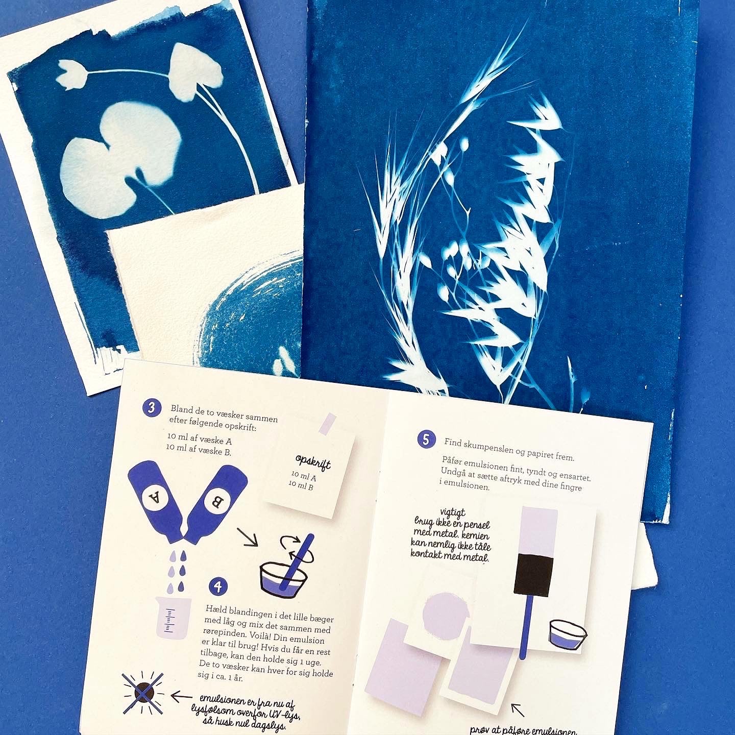 Cyanotypi Kit - Sådan laver du cyanotypi